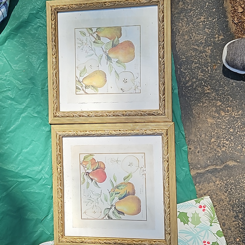 Pair of pictures